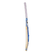 SG HP Plus Kashmir Willow Cricket Bat - Cricket shop italy